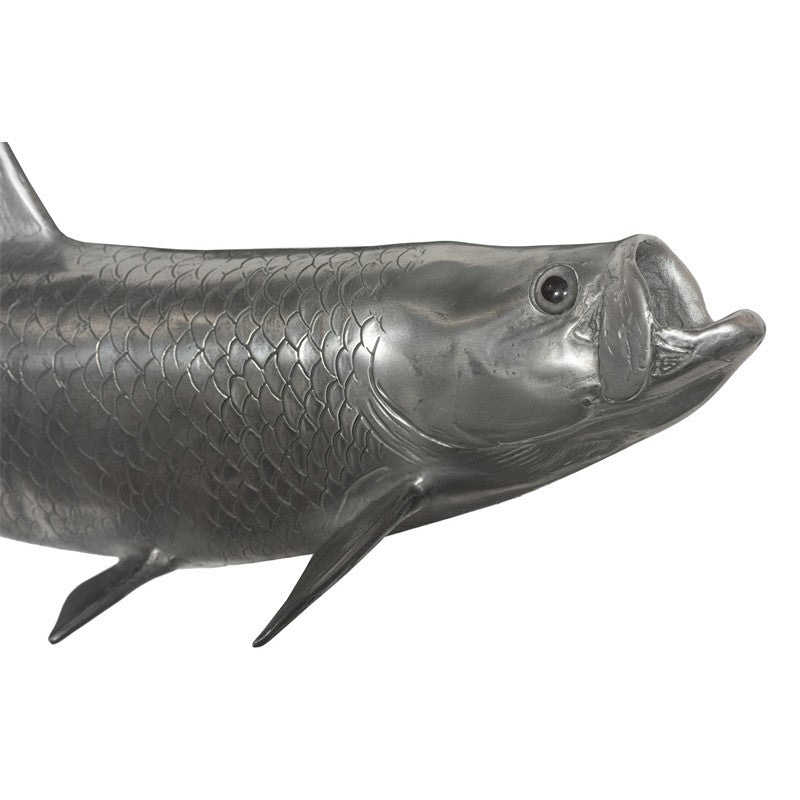 Tarpon Fish