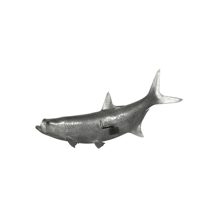Tarpon Fish