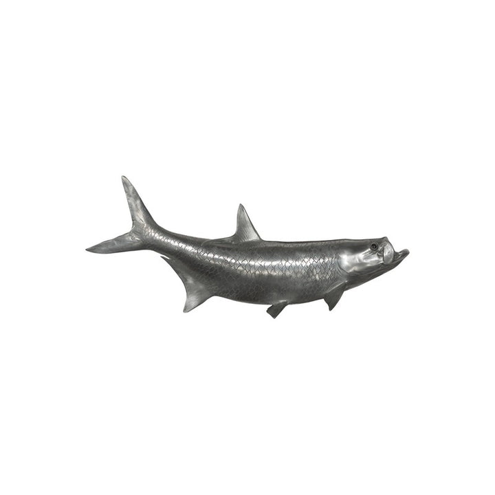 Tarpon Fish
