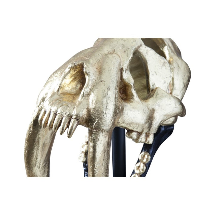 Saber Tooth Tiger Skull