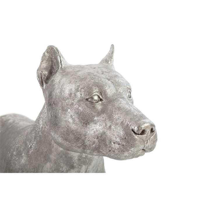 Pit Bull