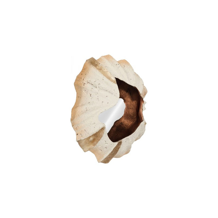 Barnacle Wall Art