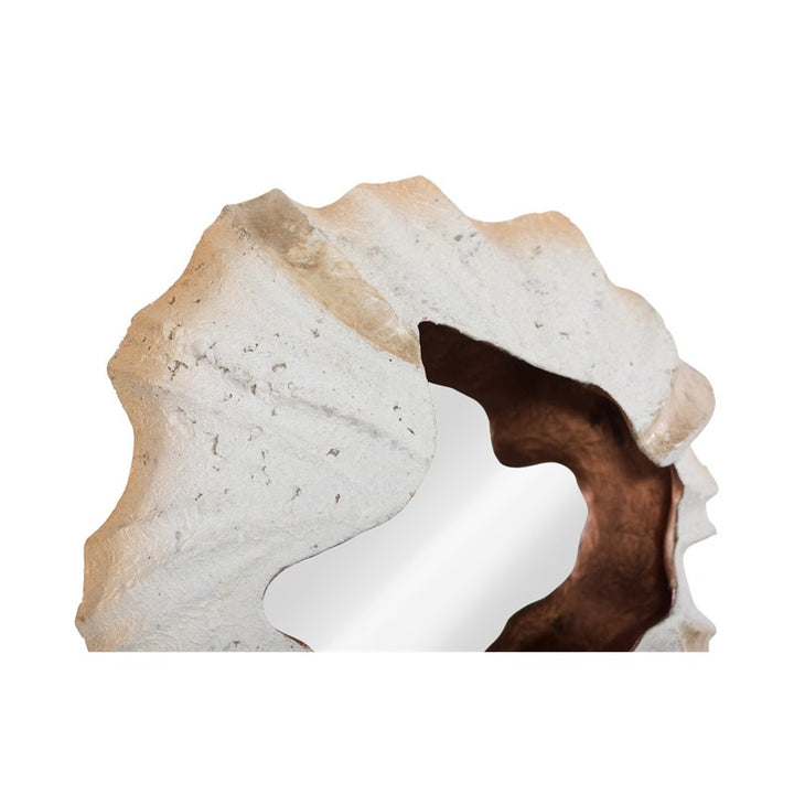 Barnacle Wall Art