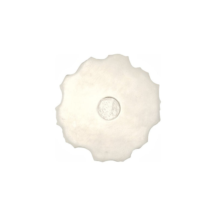 Barnacle Wall Art