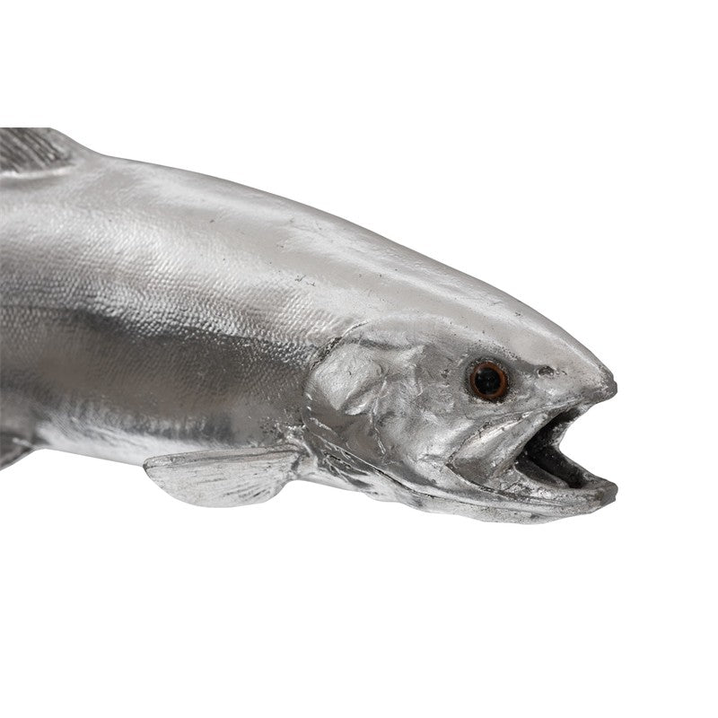 Rainbow Trout Fish