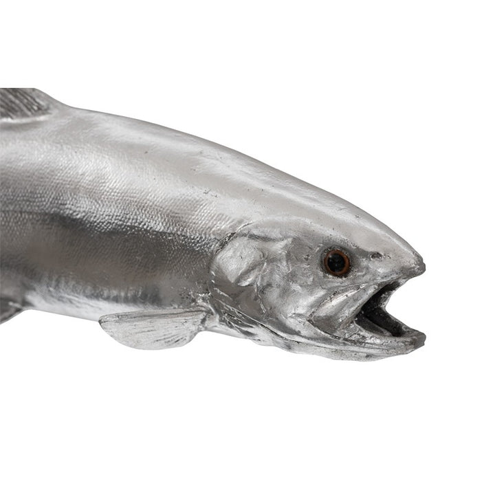 Rainbow Trout Fish