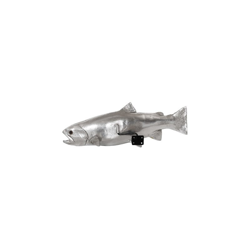 Rainbow Trout Fish
