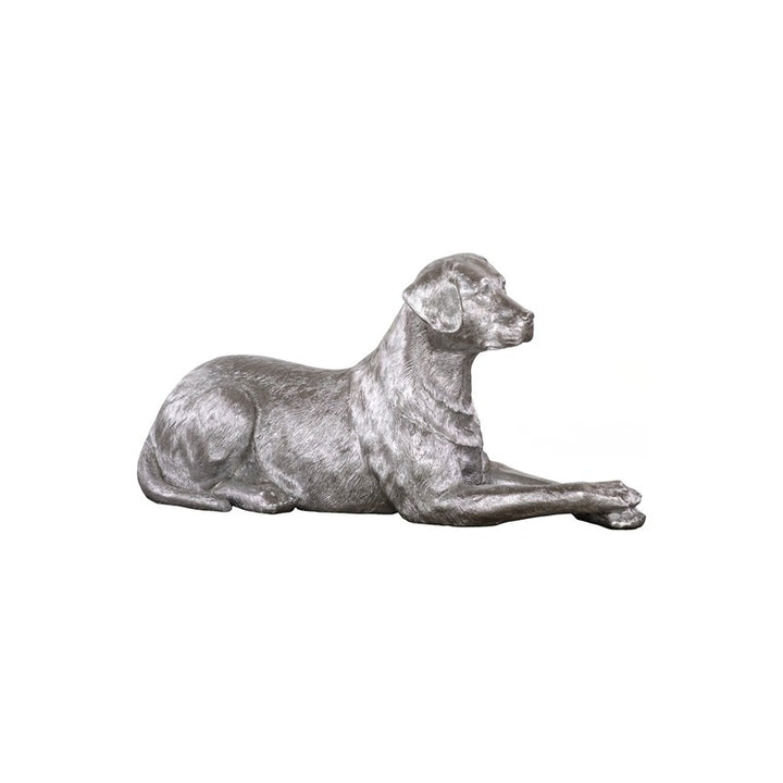 Labrador, Laying