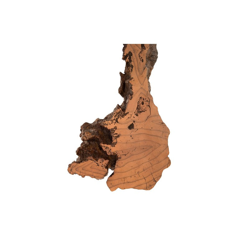 Burled Root Wall Art