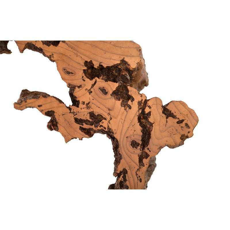 Burled Root Wall Art