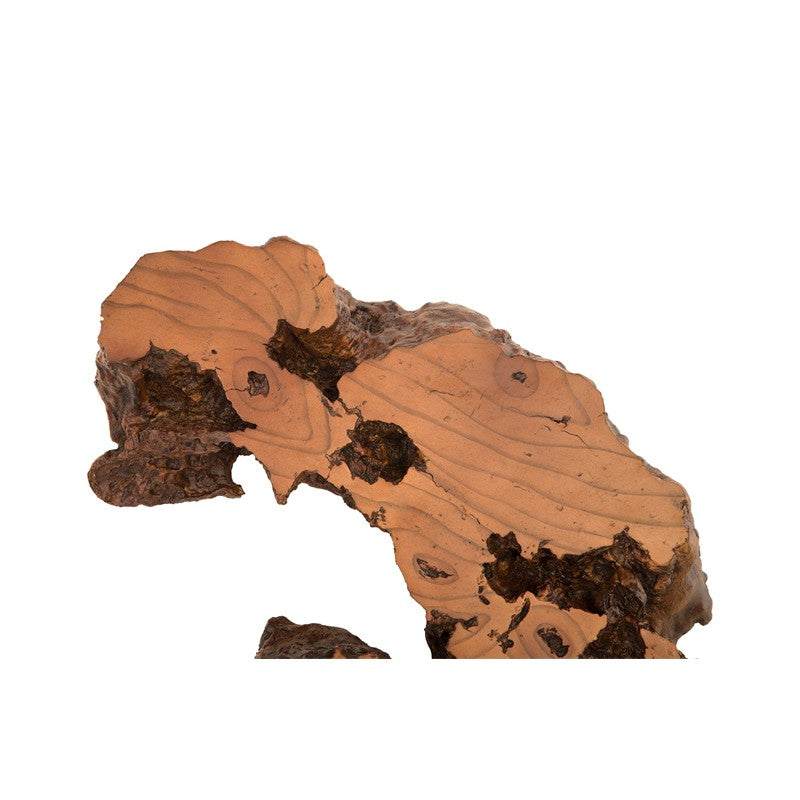 Burled Root Wall Art