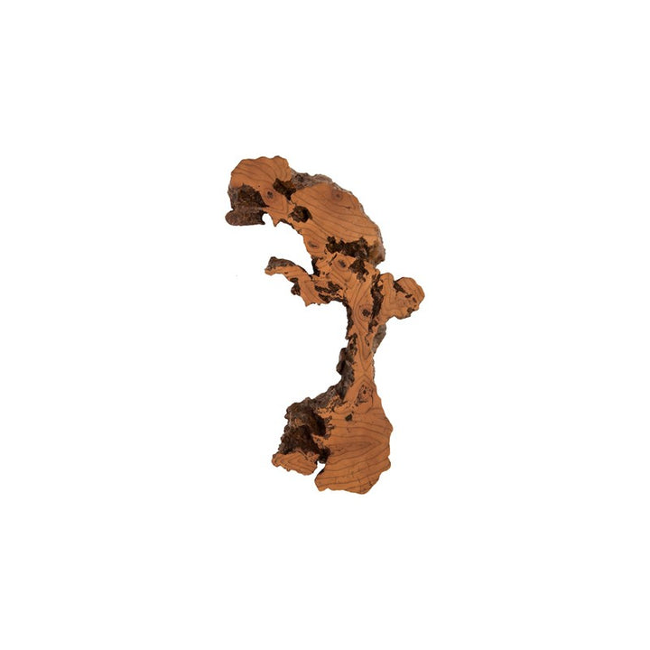 Burled Root Wall Art