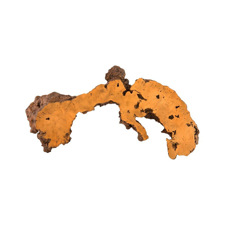 Burled Root Wall Art