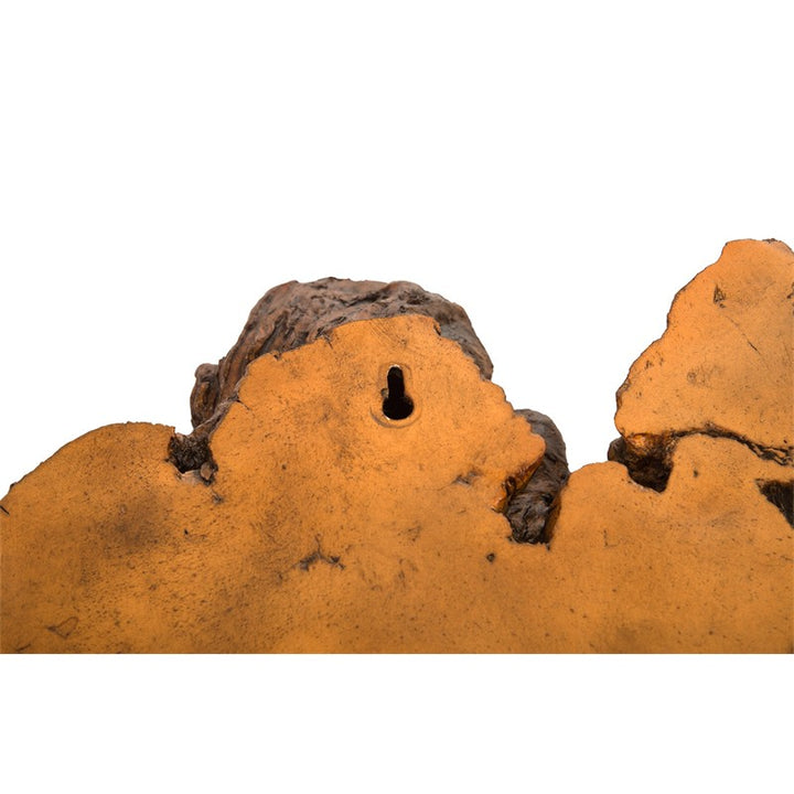 Burled Root Wall Art