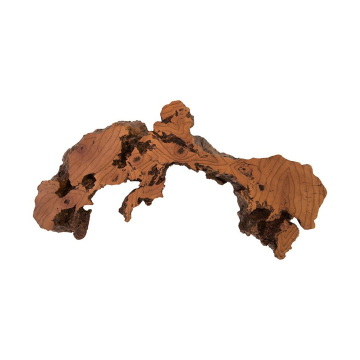 Burled Root Wall Art