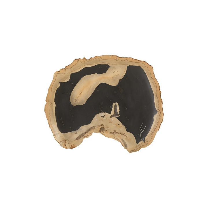 Cast Petrified Wood Wall Tile
