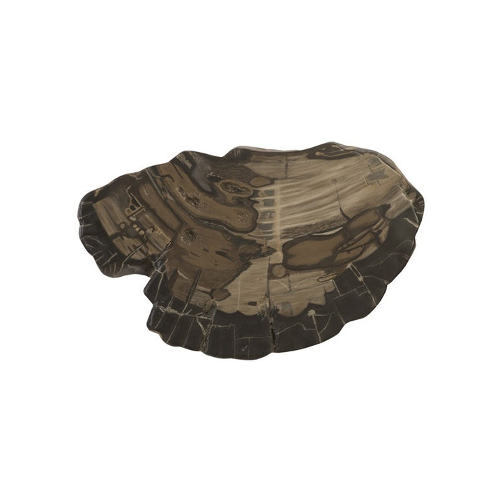 Cast Petrified Wood Wall Tile