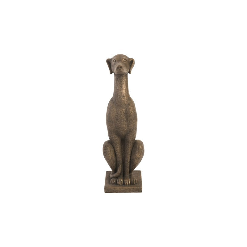 Greyhound