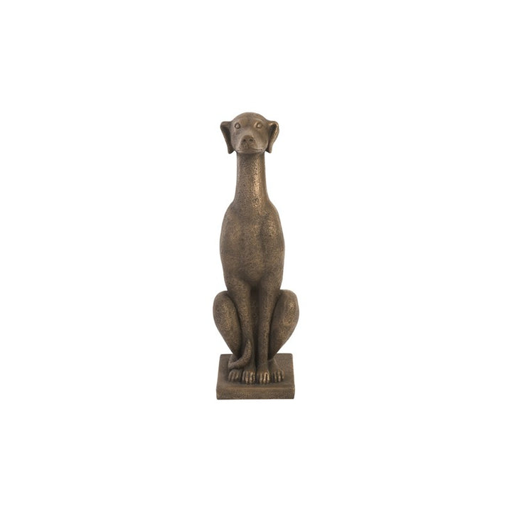 Greyhound