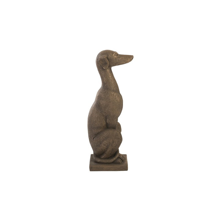 Greyhound