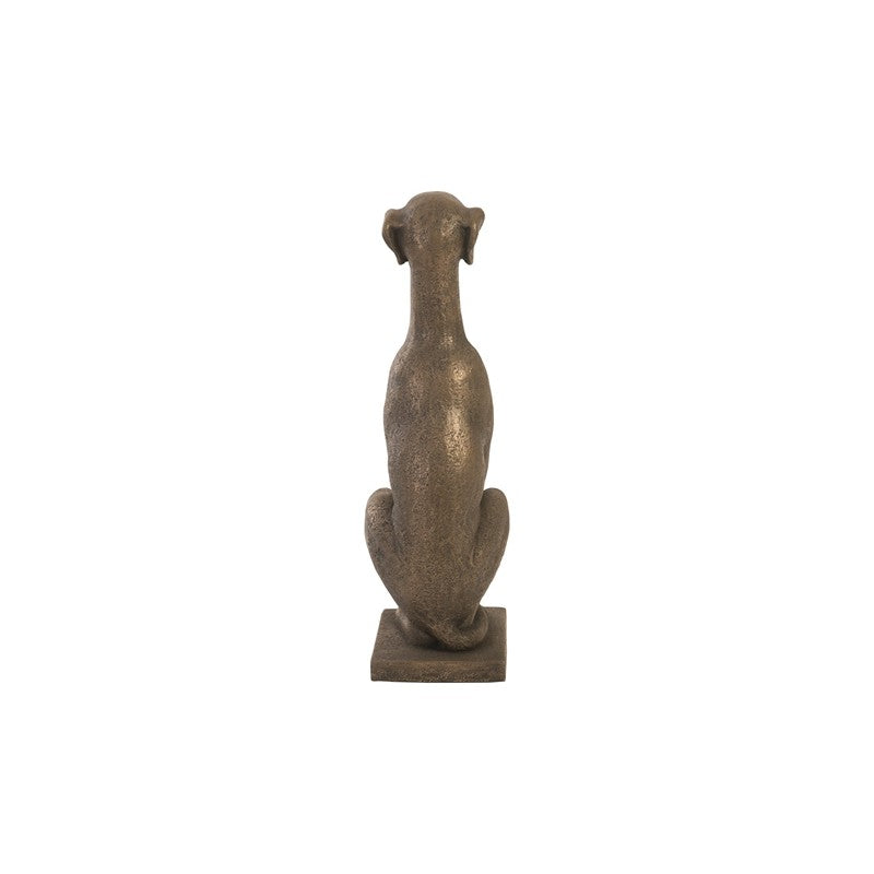 Greyhound
