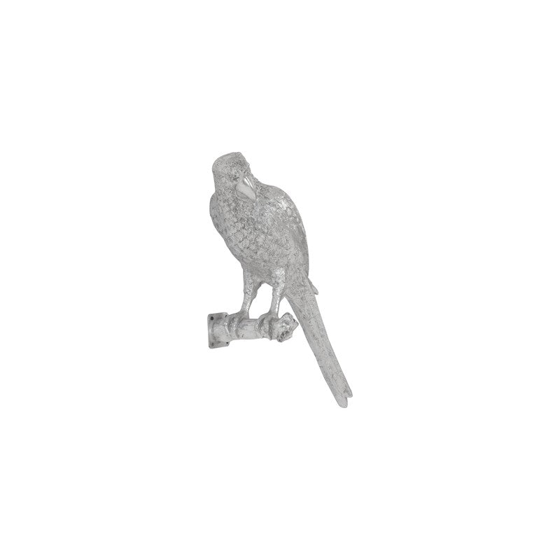 Parrot Looking Left Wall Art