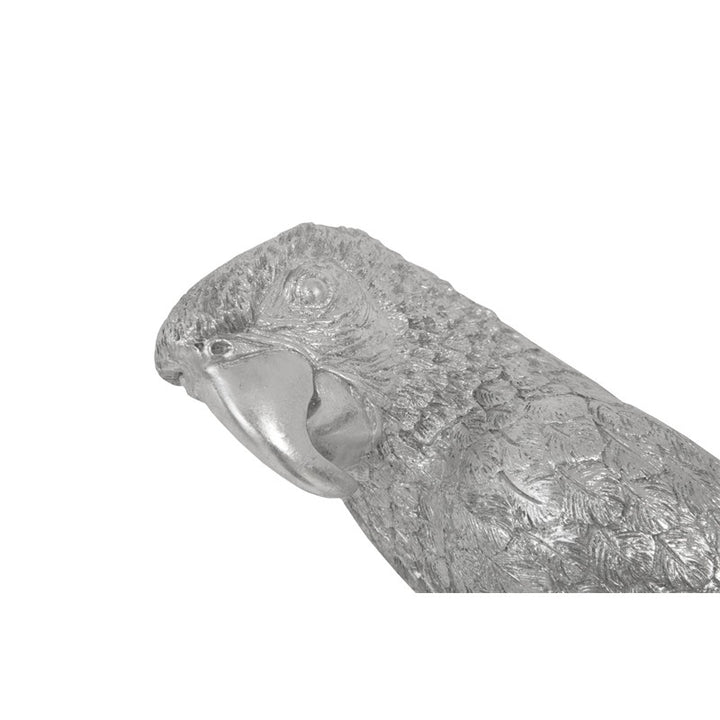 Parrot Looking Left Wall Art