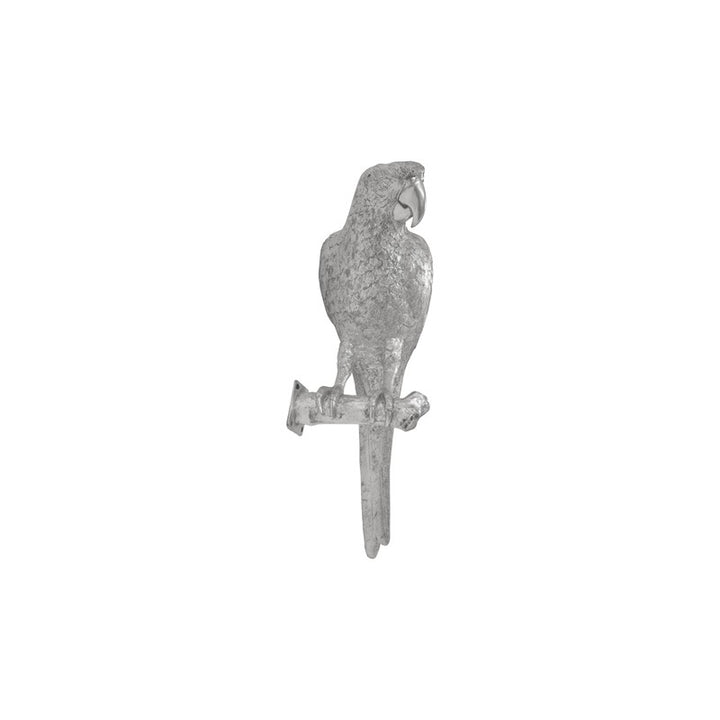 Parrot Looking Left Wall Art