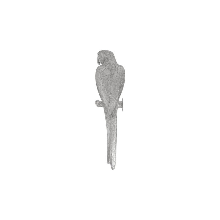 Parrot Looking Left Wall Art
