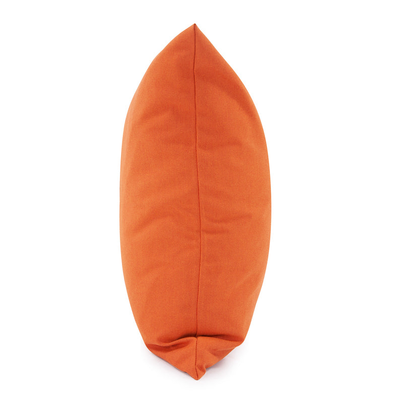 The Seascape Pillow