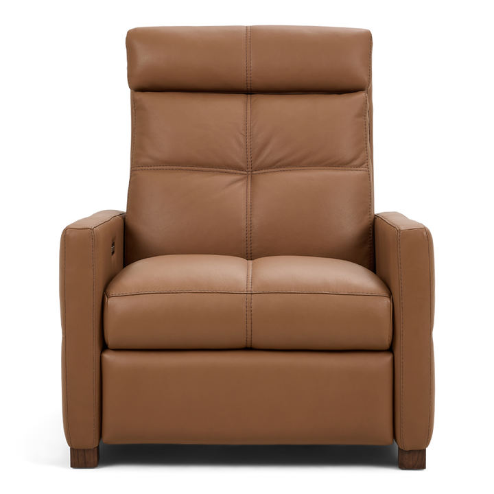 Rainier Luxe Series Recliner