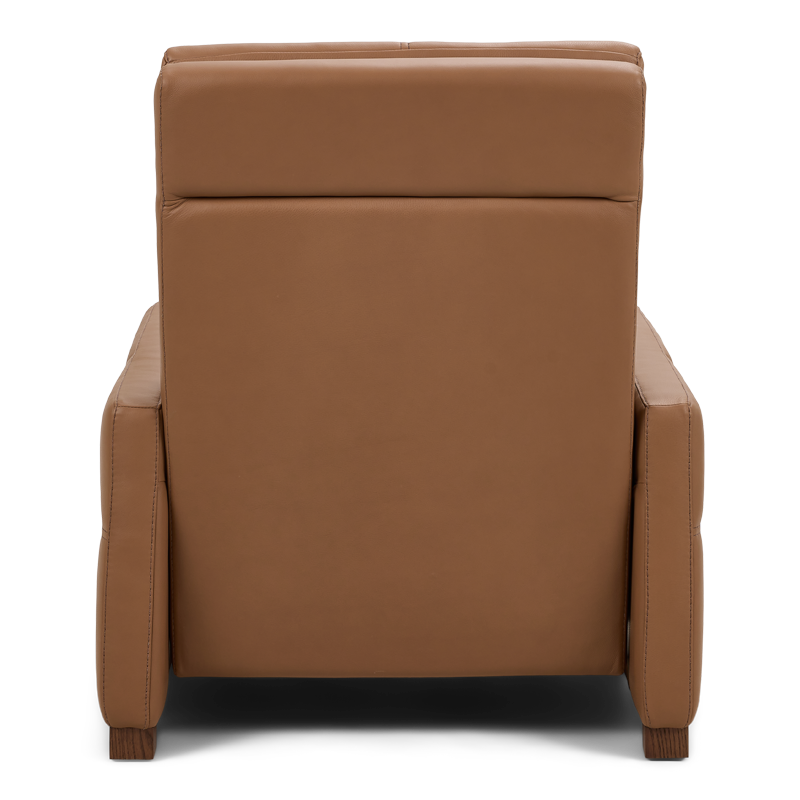 Rainier Luxe Series Recliner