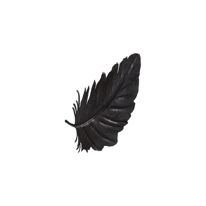 Feather Wall Decor, Black, Metal
