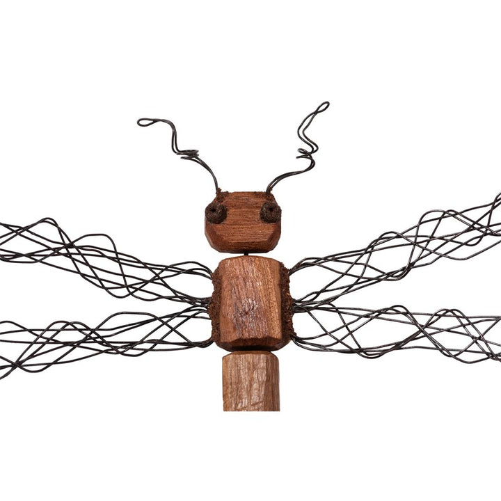 Wire Wing Dragonfly