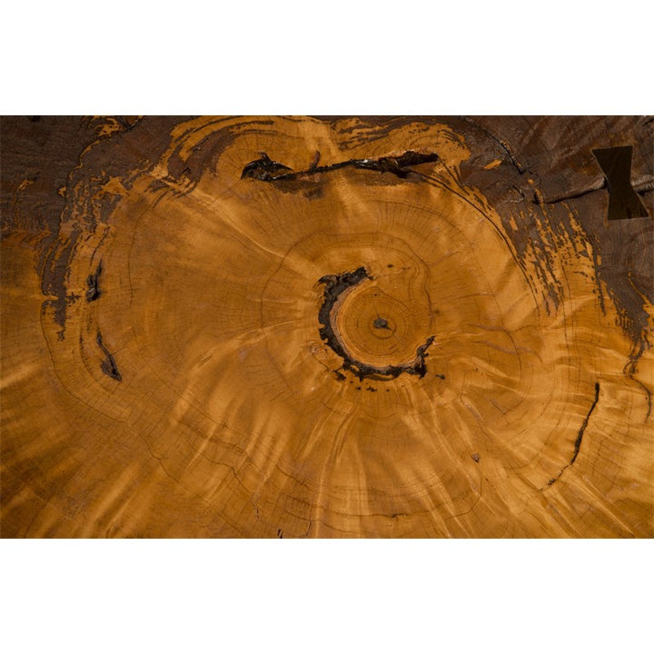 Burled Coffee Table, Black Metal Legs