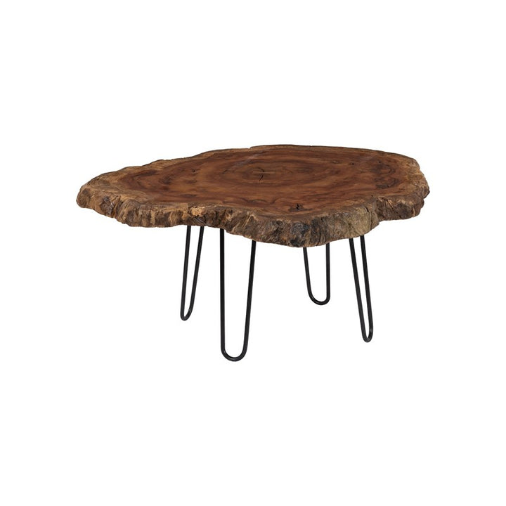 Burled Coffee Table, Black Metal Legs