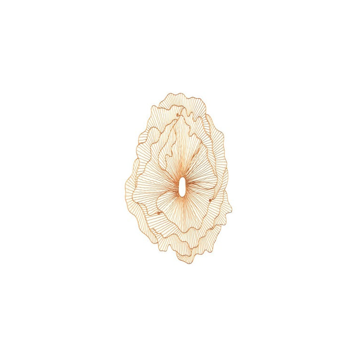Poppy Flower Wall Art