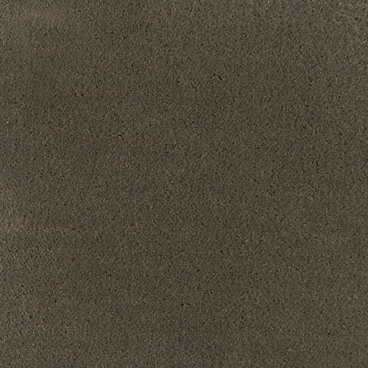 Pollux