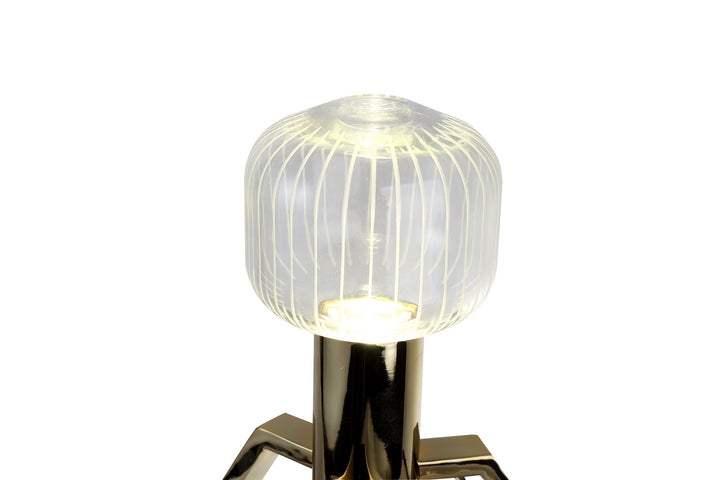 ZD12T13G LED Table Lamp